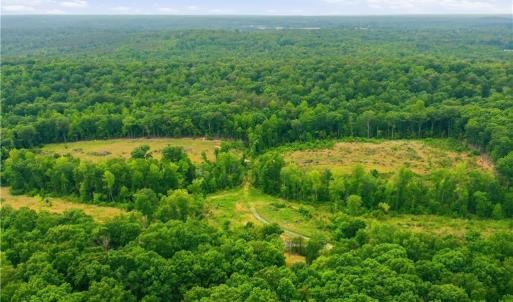 Photo #11 of Cane Creek, Snow Camp, NC 18.4 acres