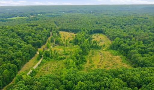 Photo #8 of Cane Creek, Snow Camp, NC 18.4 acres
