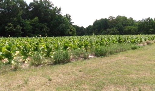Photo #2 of 1706 Mount Hope Church, McLeansville, NC 13.9 acres