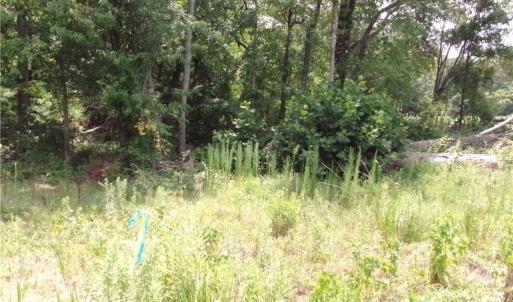 Photo #3 of 1706 Mount Hope Church, McLeansville, NC 13.9 acres