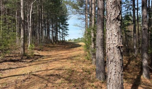 Photo #23 of 508 New Lebanon Church, Reidsville, NC 47.7 acres