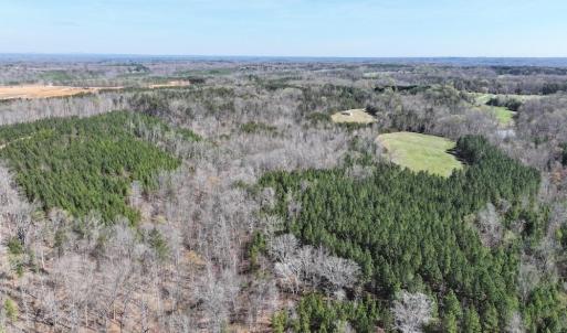 Photo #6 of 508 New Lebanon Church, Reidsville, NC 47.7 acres