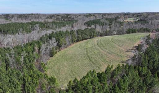 Photo #13 of 508 New Lebanon Church, Reidsville, NC 47.7 acres