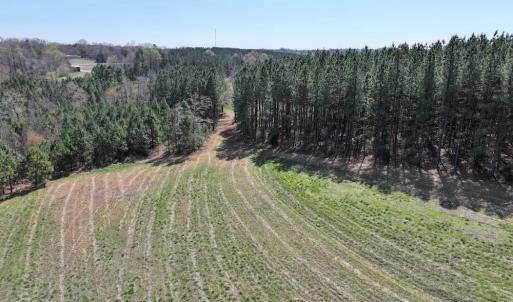 Photo #16 of 508 New Lebanon Church, Reidsville, NC 47.7 acres