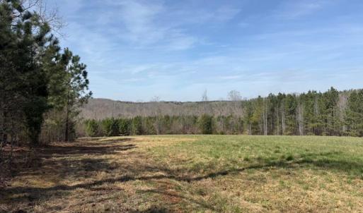 Photo #26 of 508 New Lebanon Church, Reidsville, NC 47.7 acres