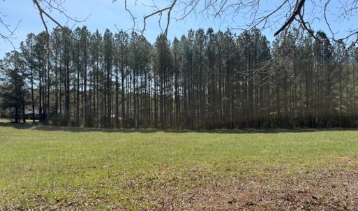Photo #22 of 508 New Lebanon Church, Reidsville, NC 47.7 acres