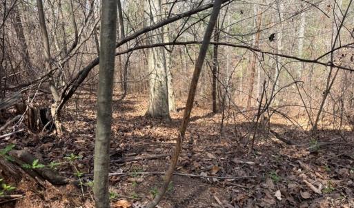 Photo #28 of 508 New Lebanon Church, Reidsville, NC 47.7 acres