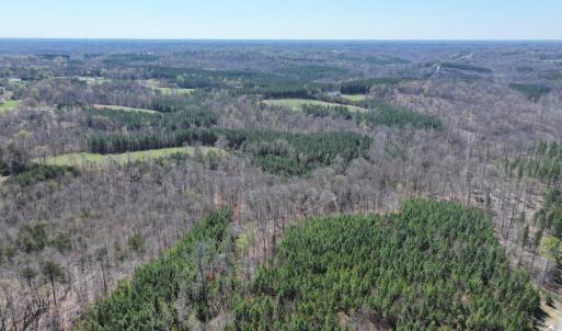 Photo #5 of 508 New Lebanon Church, Reidsville, NC 47.7 acres