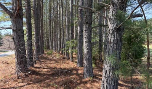 Photo #20 of 508 New Lebanon Church, Reidsville, NC 47.7 acres