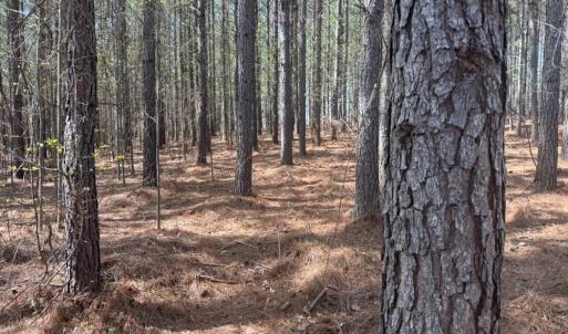 Photo #24 of 508 New Lebanon Church, Reidsville, NC 47.7 acres