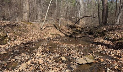 Photo #30 of 508 New Lebanon Church, Reidsville, NC 47.7 acres