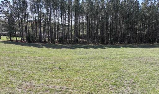 Photo #14 of 508 New Lebanon Church, Reidsville, NC 47.7 acres