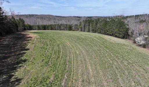 Photo #18 of 508 New Lebanon Church, Reidsville, NC 47.7 acres