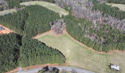 Photo #15 of 508 New Lebanon Church, Reidsville, NC 47.7 acres