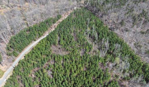 Photo #11 of 508 New Lebanon Church, Reidsville, NC 47.7 acres