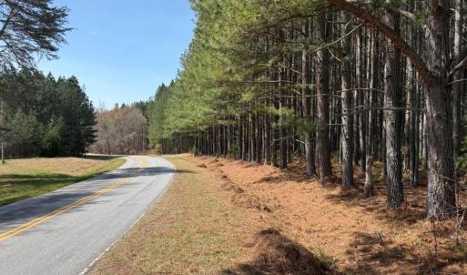 Photo #19 of 508 New Lebanon Church, Reidsville, NC 47.7 acres