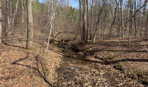 Photo #31 of 508 New Lebanon Church, Reidsville, NC 47.7 acres