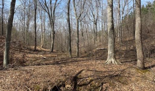 Photo #29 of 508 New Lebanon Church, Reidsville, NC 47.7 acres