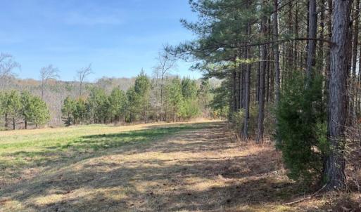 Photo #25 of 508 New Lebanon Church, Reidsville, NC 47.7 acres