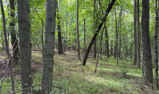 Photo #22 of 6725 US Highway 158, Stokesdale, NC 12.5 acres