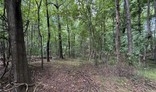 Photo #20 of 6725 US Highway 158, Stokesdale, NC 12.5 acres