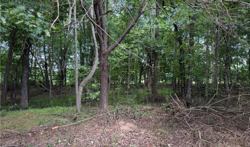 Photo #18 of 6725 US Highway 158, Stokesdale, NC 12.5 acres