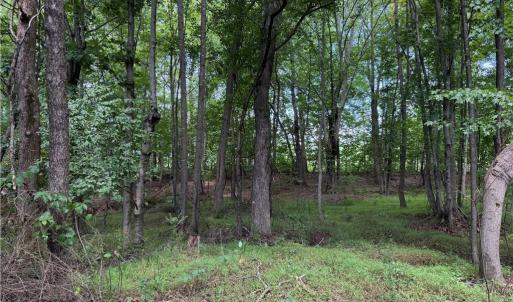 Photo #19 of 6725 US Highway 158, Stokesdale, NC 12.5 acres