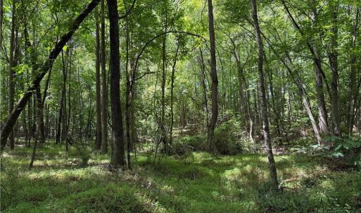 Photo #21 of 6725 US Highway 158, Stokesdale, NC 12.5 acres