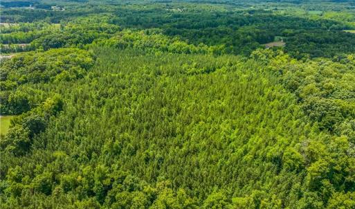 Photo #10 of 13.3 +/- Ac Godbey, Mocksville, NC 13.3 acres