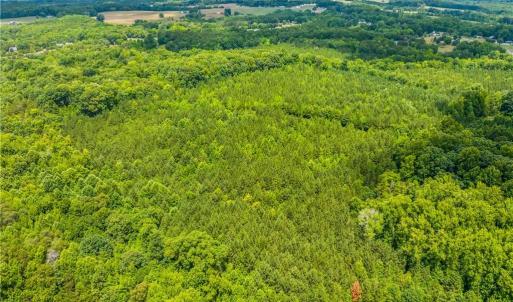 Photo #15 of 13.3 +/- Ac Godbey, Mocksville, NC 13.3 acres