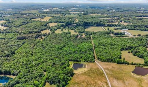 Photo #5 of TBD Snow Camp, Snow Camp, NC 32.7 acres