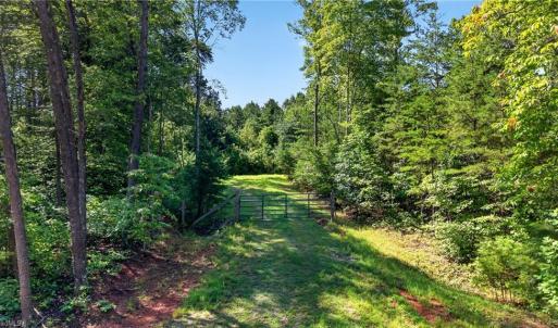 Photo #2 of 2585 Flat Rock, Pinnacle, NC 24.1 acres