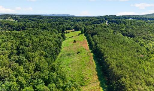 Photo #20 of 2585 Flat Rock, Pinnacle, NC 24.1 acres