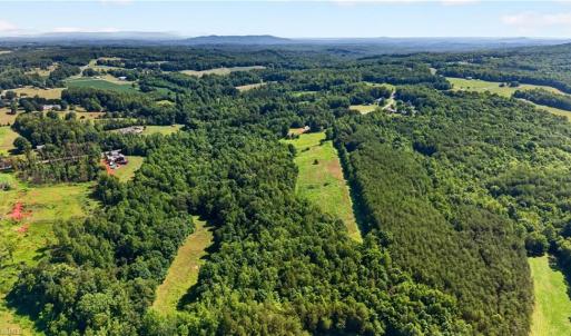 Photo #19 of 2585 Flat Rock, Pinnacle, NC 24.1 acres