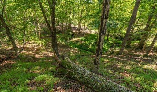 Photo #17 of 7289 Plunkett, Stokesdale, NC 4.9 acres