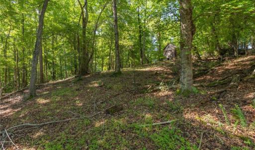Photo #16 of 7289 Plunkett, Stokesdale, NC 4.9 acres