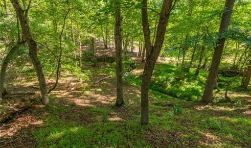 Gorgeous hardwoods