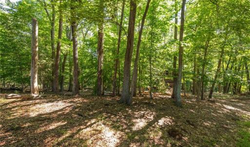 Photo #10 of 7289 Plunkett, Stokesdale, NC 4.9 acres