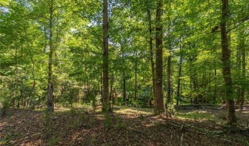 Photo #14 of 7289 Plunkett, Stokesdale, NC 4.9 acres