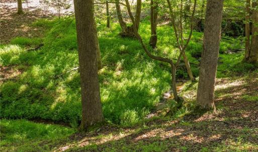 Stream in rear of property