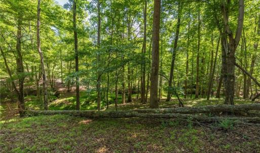 Photo #15 of 7289 Plunkett, Stokesdale, NC 4.9 acres