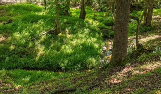 Stream
