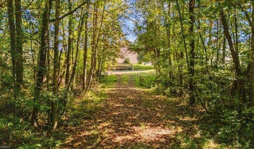 Photo #9 of 4069 Bentley, Randleman, NC 4.9 acres