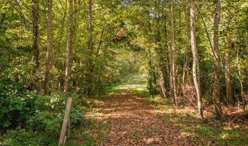 Photo #10 of 4069 Bentley, Randleman, NC 4.9 acres