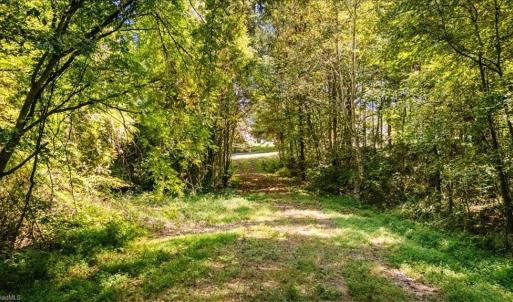 Photo #11 of 4069 Bentley, Randleman, NC 4.9 acres