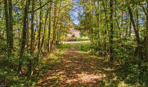 Photo #9 of 4069 Bentley, Randleman, NC 4.9 acres
