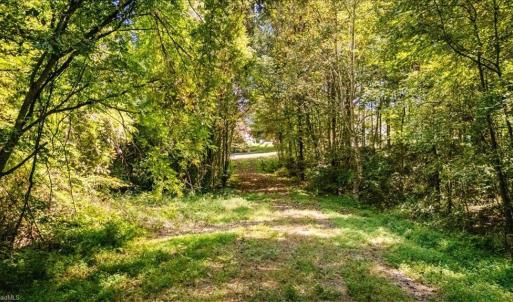 Photo #11 of 4069 Bentley, Randleman, NC 4.9 acres