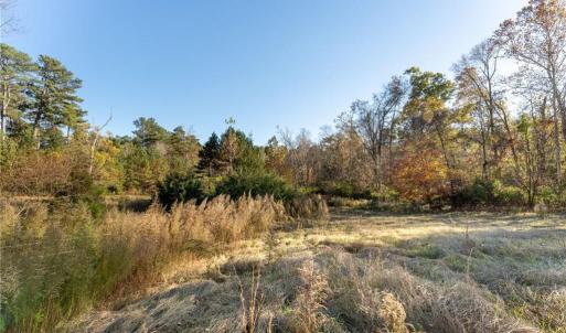 Photo #10 of 120 Brookberry, Jamestown, NC 7.9 acres