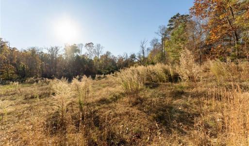 Photo #14 of 120 Brookberry, Jamestown, NC 7.9 acres
