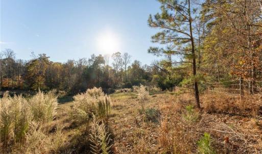 Photo #15 of 120 Brookberry, Jamestown, NC 7.9 acres